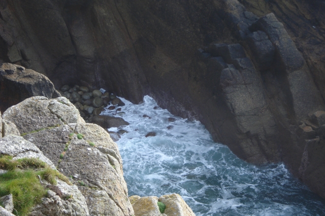  猎犬牙齿的视角 